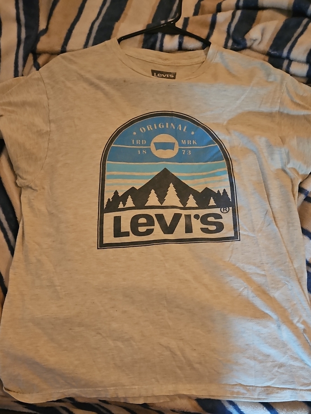Levi's Men's Graphic Tee in Light Gray with Blue Print